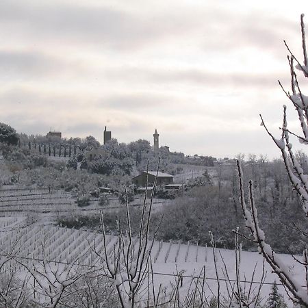 Agriturismo Il Piastrino Vinci Zewnętrze zdjęcie