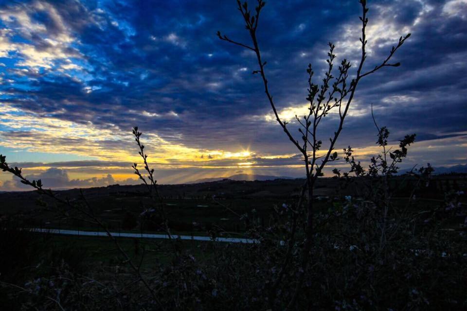 Agriturismo Il Piastrino Vinci Zewnętrze zdjęcie