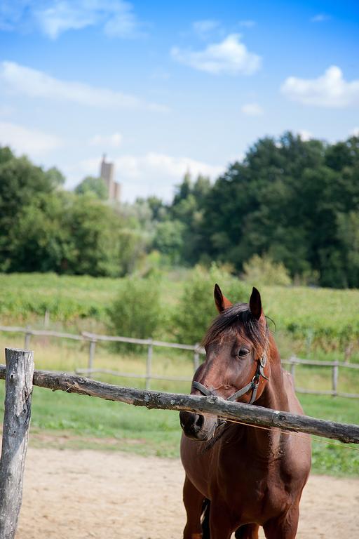 Agriturismo Il Piastrino Vinci Zewnętrze zdjęcie