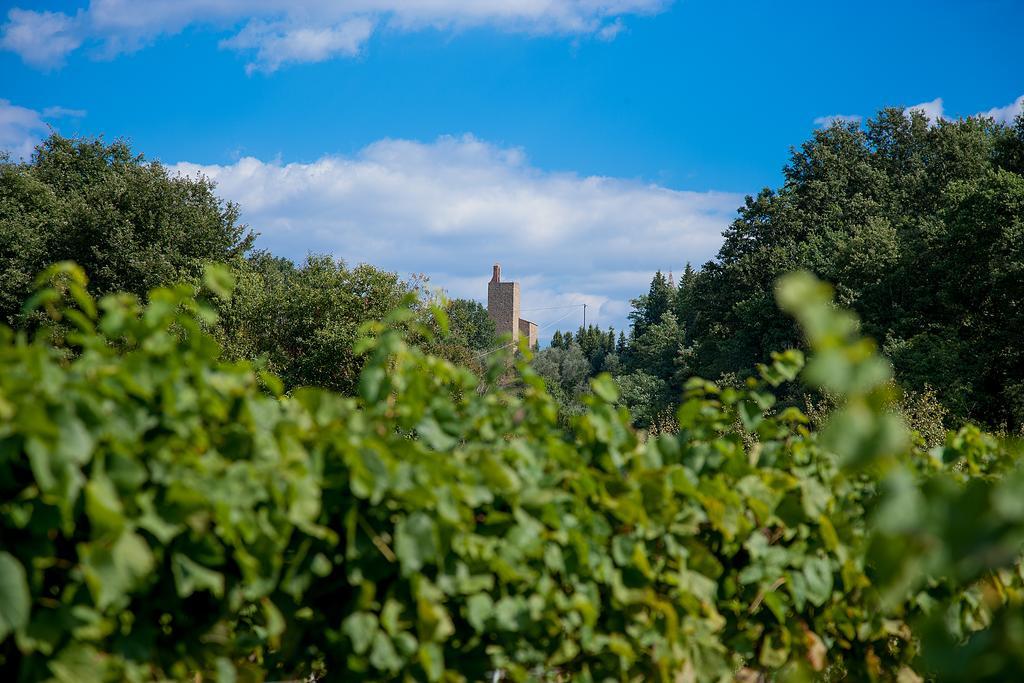 Agriturismo Il Piastrino Vinci Zewnętrze zdjęcie